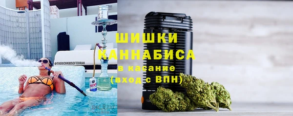 крисы Вязьма