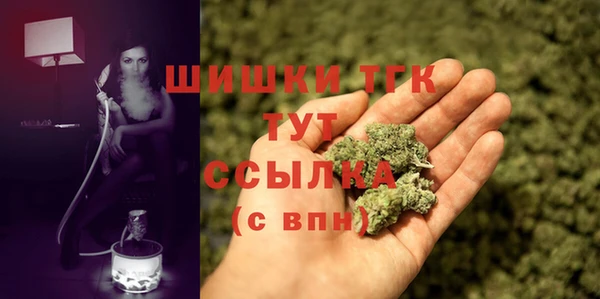 крисы Вязьма