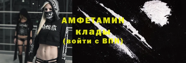 крисы Вязьма