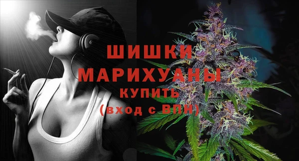 прущие грибы Горнозаводск