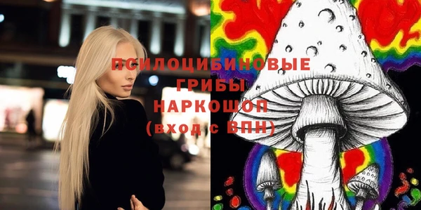 крисы Вязьма