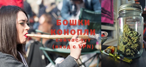 крисы Вязьма