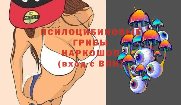 крисы Вязьма