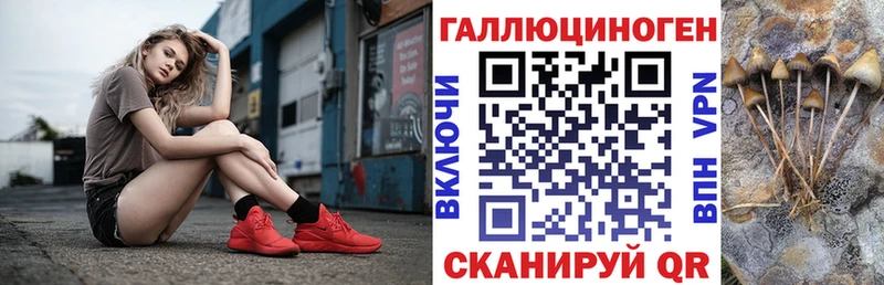 Купить  Лесозаводск  Псилоцибиновые грибы Cubensis 